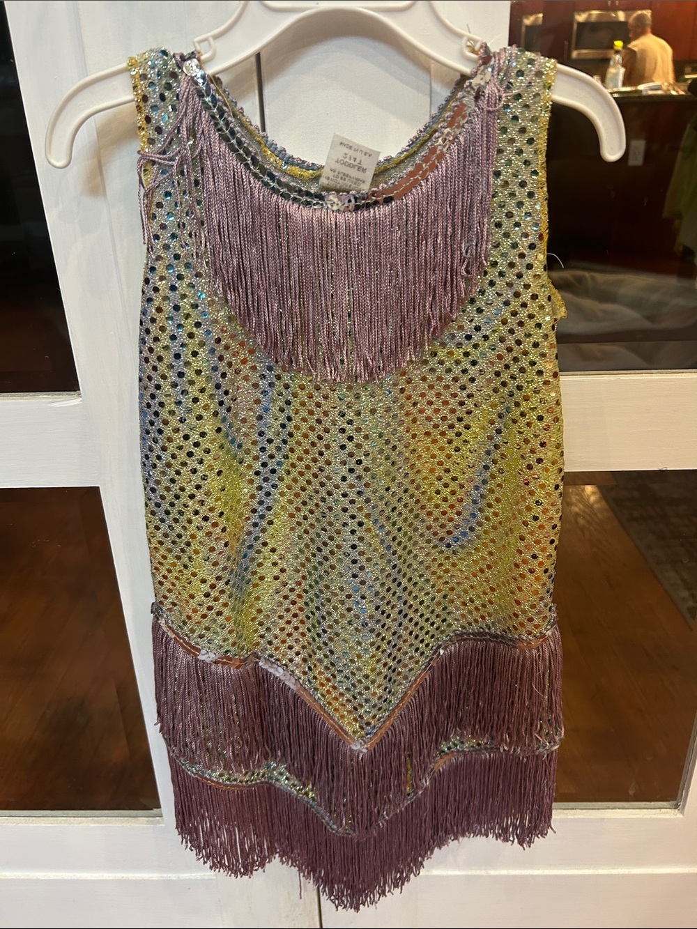 Girls Lavender Fringe Sequin Mesh Costume Dress